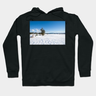 Snowy landscape. Hoodie